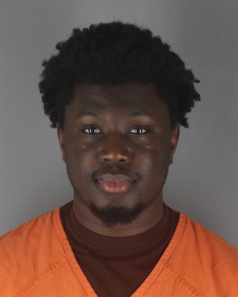 Booking photo of Alasan Ann