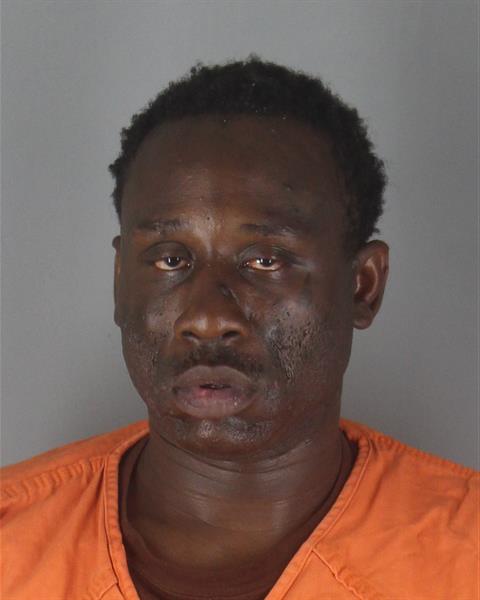 Booking photo of Paris Williams