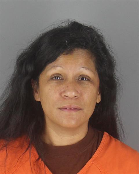 Booking photo of Lisa Luna