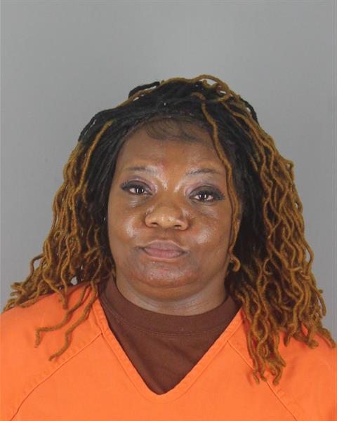 Booking photo of Ariana Martin