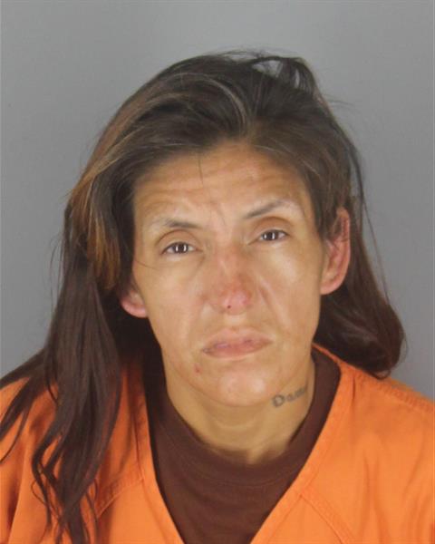 Booking photo of Cheryl Tucker