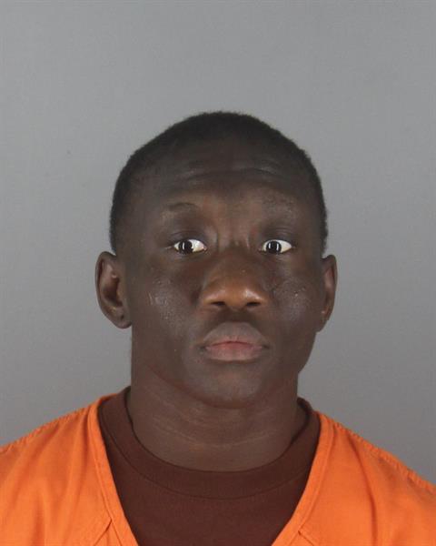 Booking photo of Sarah Pyne