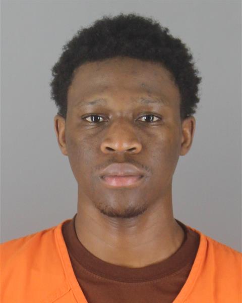 Booking photo of Ousainou Darboe