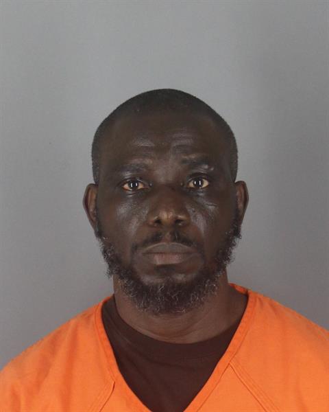 Booking photo of Nanah Lepolu