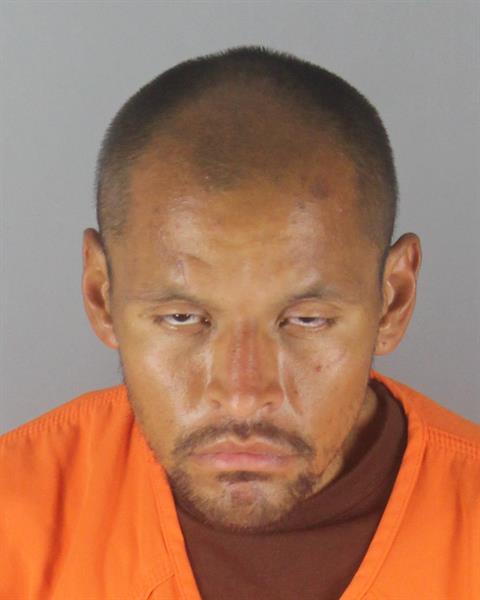 Booking photo of Steven Skinaway