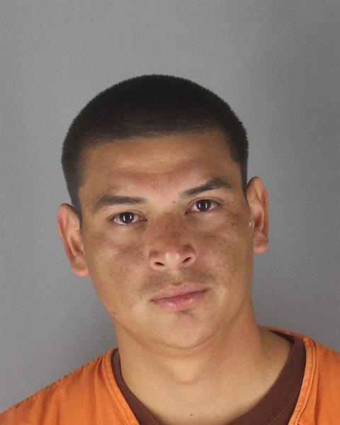 Booking photo of Fernando Hernandez Flores