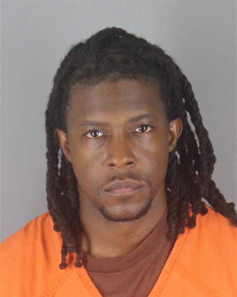 Booking photo of Michael Hollins