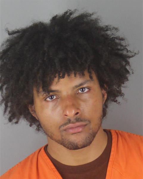 Booking photo of Michael Watts
