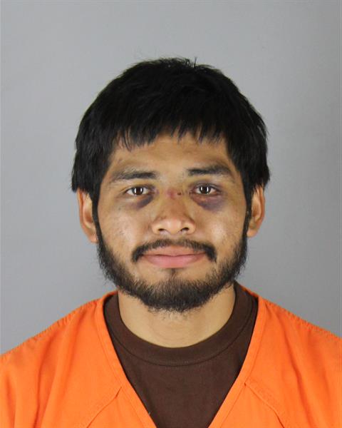 Booking photo of Edtson Ramos