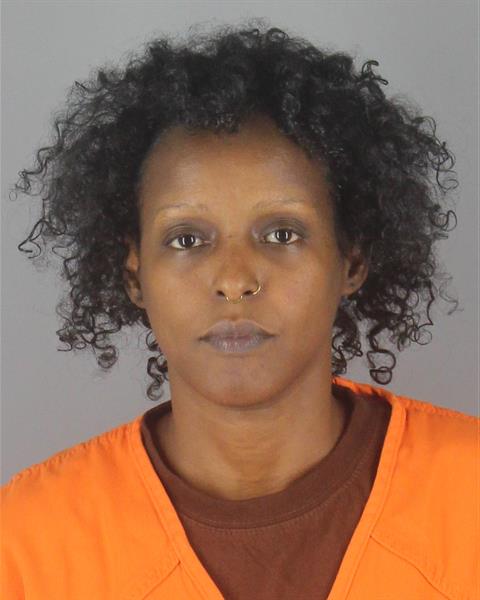 Booking photo of Udgon Abdullahi