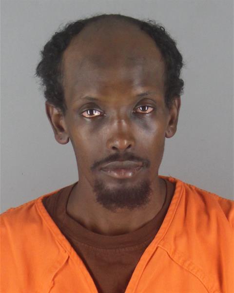 Booking photo of Ahmed Bishaar