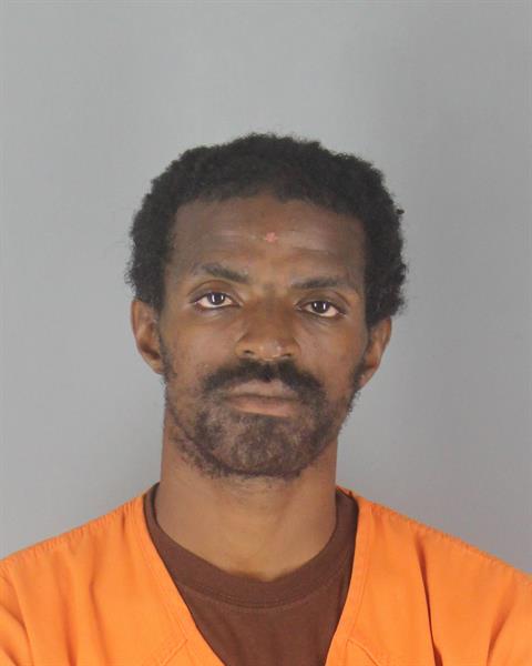 Booking photo of Mikael Stewart