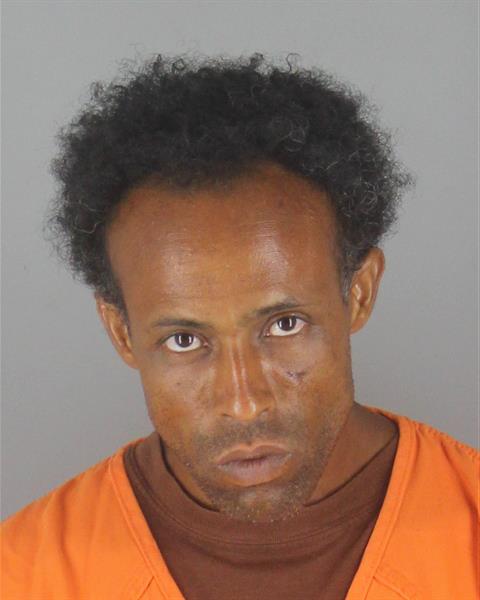 Booking photo of Hashin Abdi