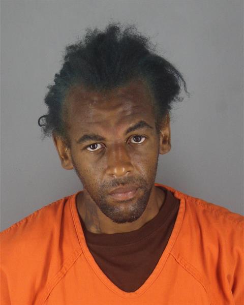Booking photo of Arlandra Morgan