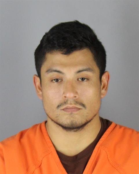 Booking photo of Peter Mickelson