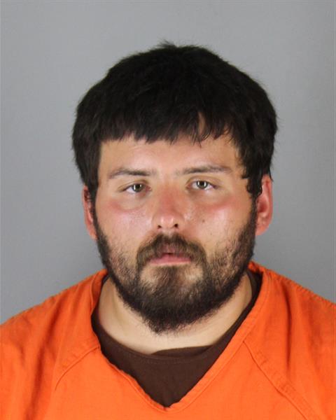 Booking photo of Sam Stout