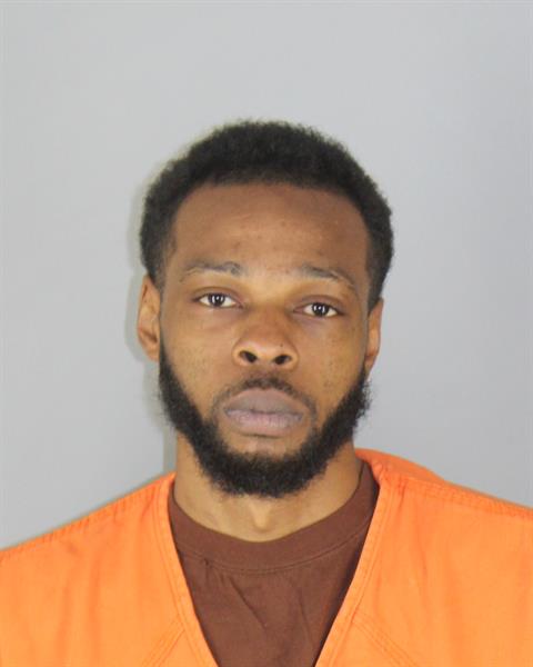 Booking photo of Donnelle Williams