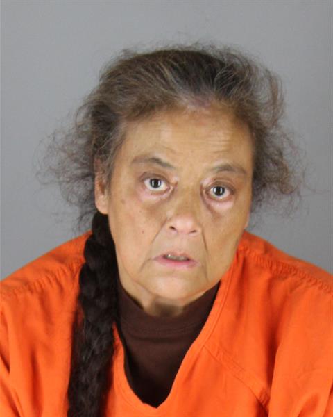 Booking photo of Michelle Dosch