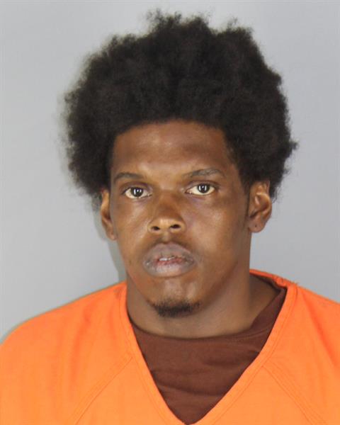 Booking photo of Mikhail Land