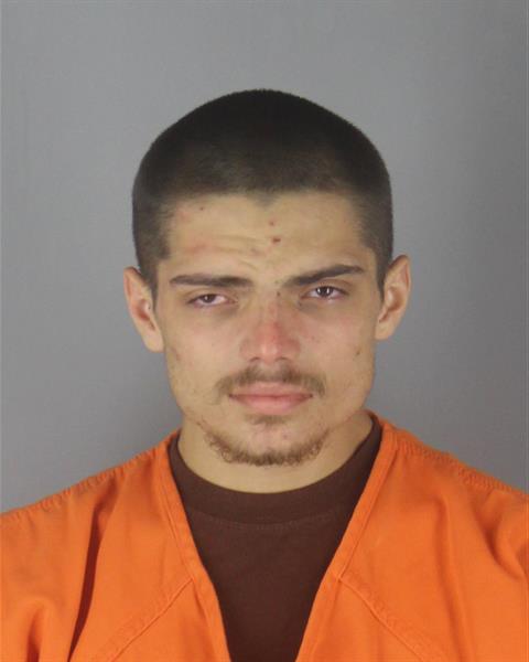 Booking photo of Anthony Gustafson