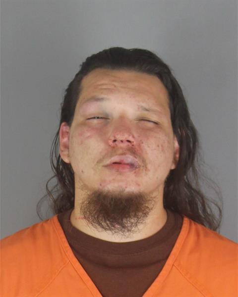 Booking photo of Darian Saul