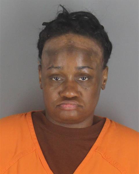 Booking photo of Ashley Burks