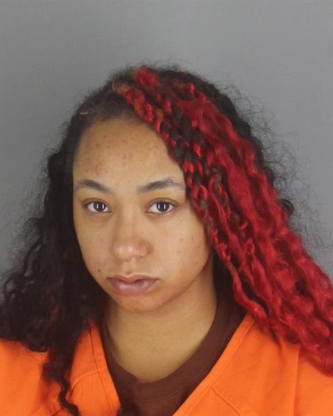 Booking photo of Sheridan Mitchell
