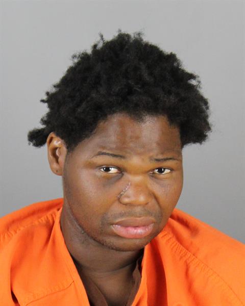 Booking photo of William Watson