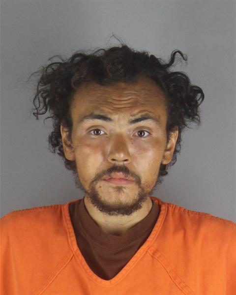 Booking photo of Michael Richardson