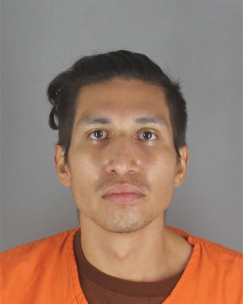 Booking photo of Vicente Arellano
