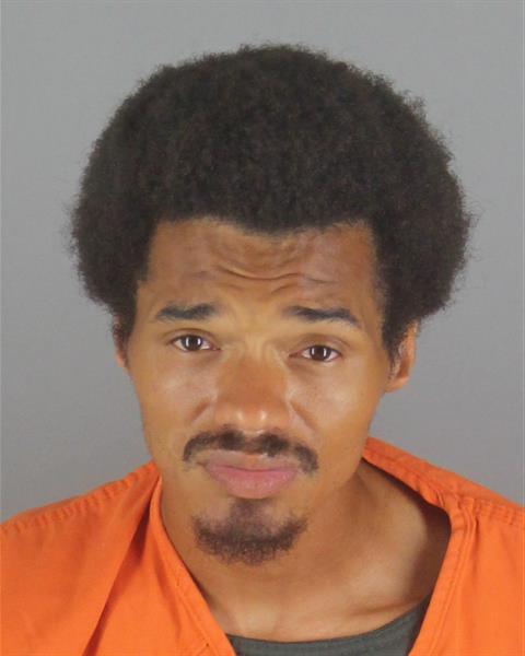 Booking photo of Skylar Thomas