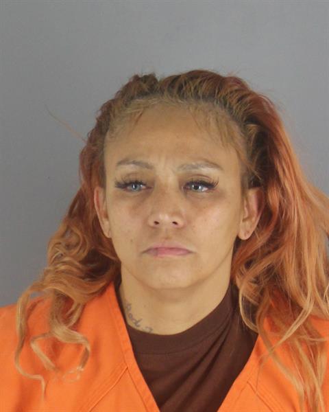 Booking photo of Andrea Nicholas