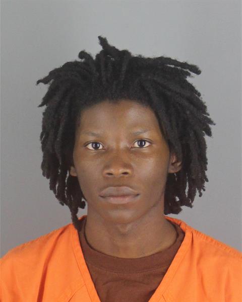Booking photo of Diamond Taylor