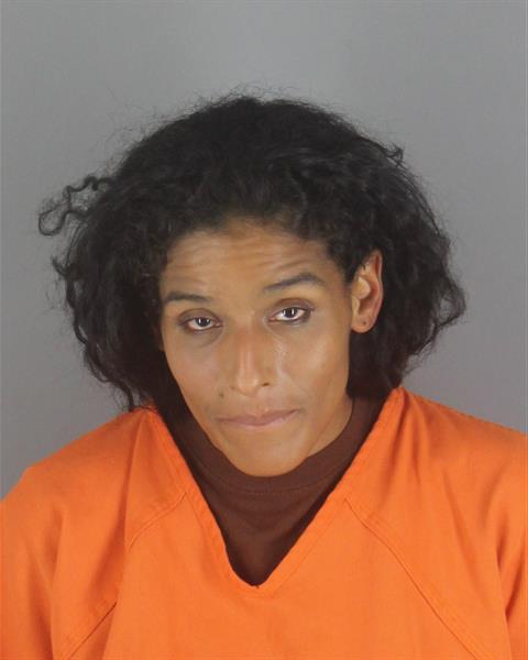Booking photo of Brenda Smith