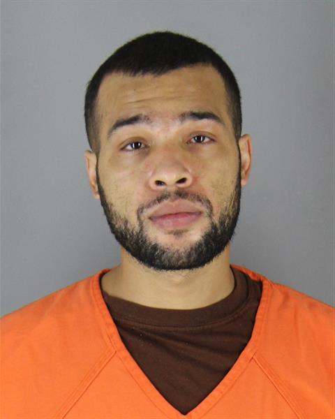 Booking photo of David Perkins
