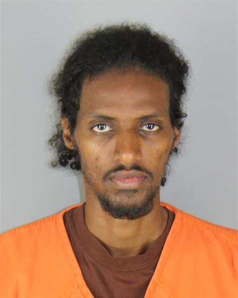 Booking photo of Ahmed Ismail