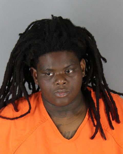 Booking photo of Annalee Mays