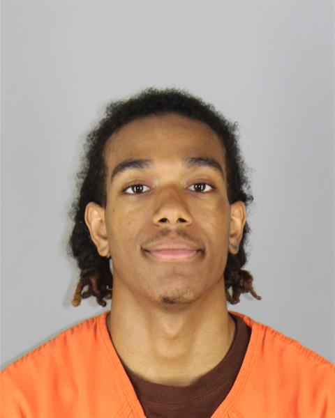 Booking photo of Treshaune Souder