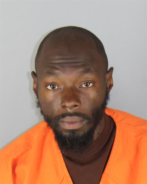 Booking photo of Tearise Baugh