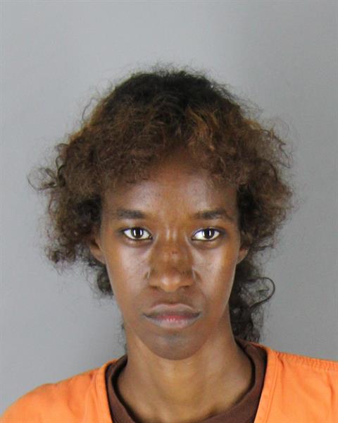 Booking photo of Lebin Dirie