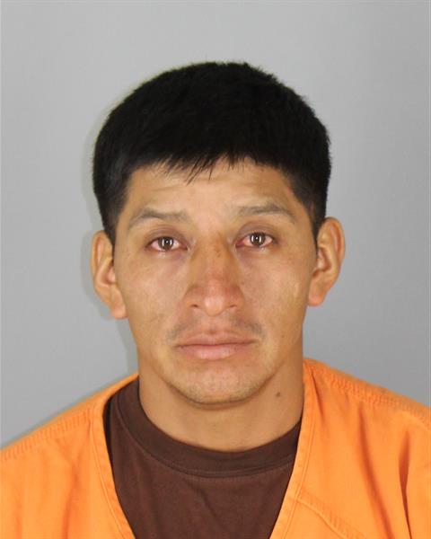 Booking photo of Luis Taolombo Punina