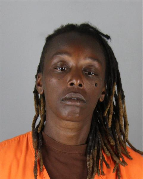 Booking photo of Jamie Bibbs