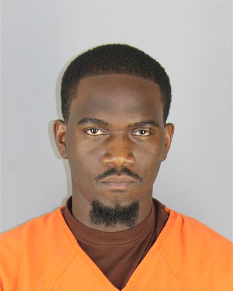Booking photo of David Nyan