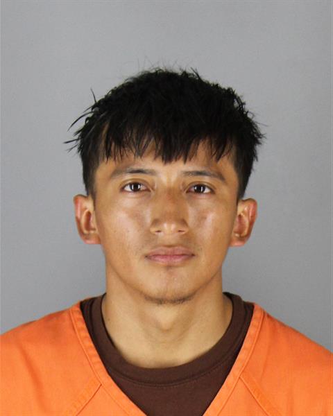 Booking photo of David Toalombo Lagua