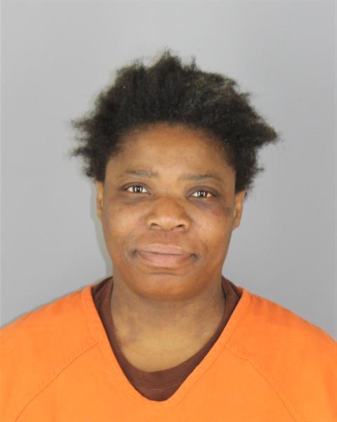 Booking photo of Nikita Triblett