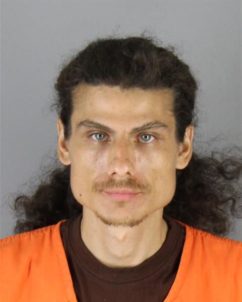 Booking photo of Anthony Daufelt