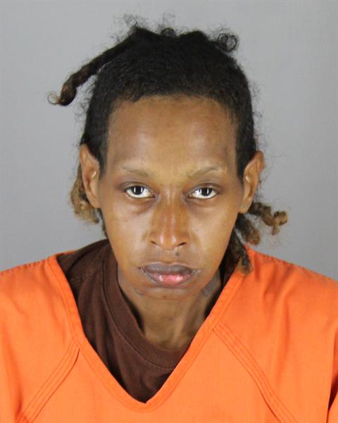 Booking photo of Titika Hatley