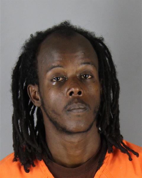 Booking photo of Ahmed Anshur