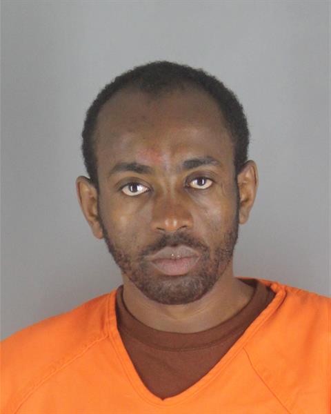 Booking photo of Sanyi Tefera