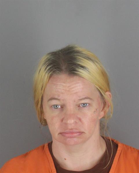 Booking photo of Sirenna Brolin